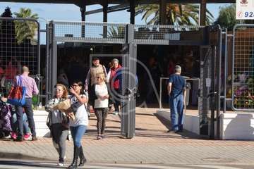 Narea abre como recova con ambiente navideño y de satisfacción general (Foto Francisco Javier Santana y TA)